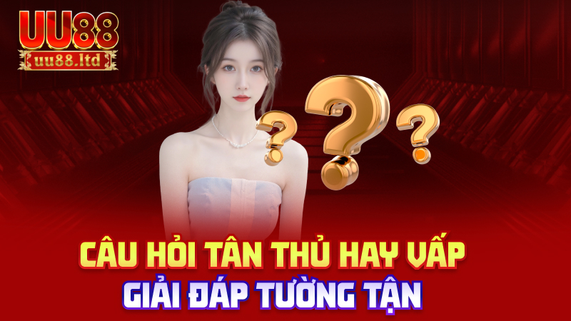 Câu hỏi tân thủ hay vấp – giải đáp tường tận
