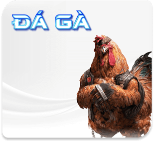 uu88 đá gà