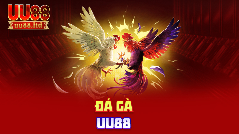 Đá gà uu88
